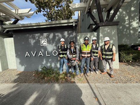 Avalon Apartment Community — commercial gutter project by Resolution Gutter Inc.