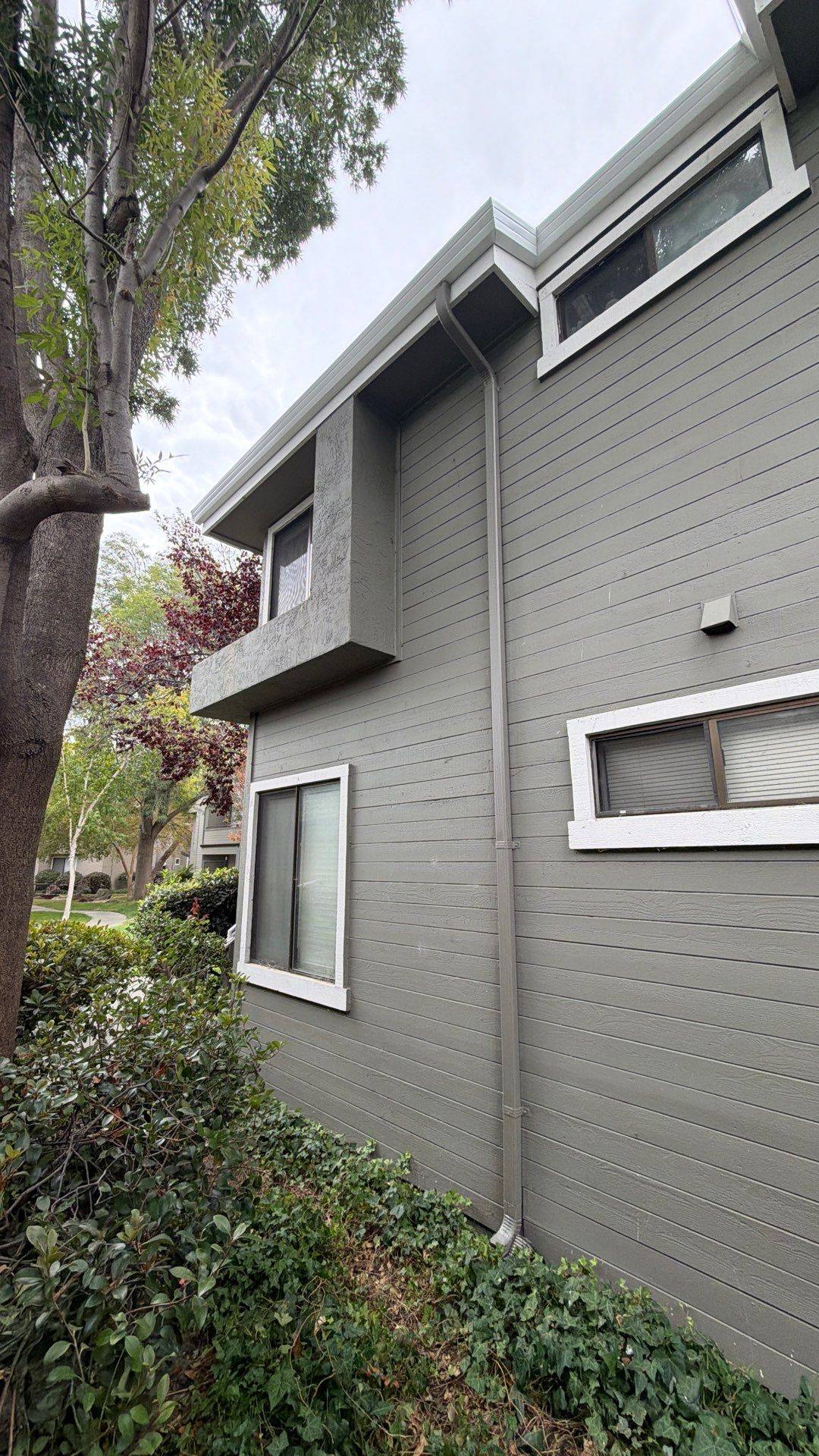 Avalon Pacifica Downspout