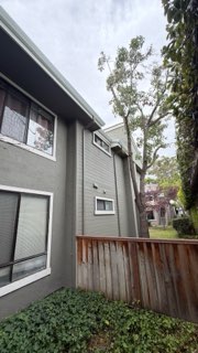 Condo Exterior